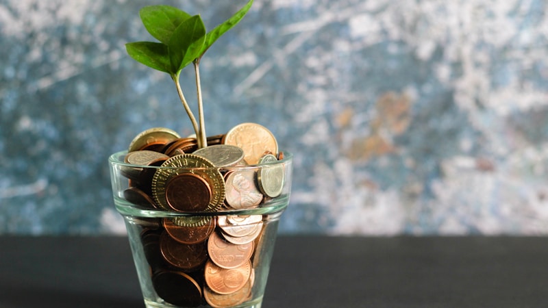Cash flow and financial planning